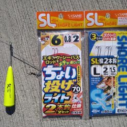 ダメ元でのエントリー